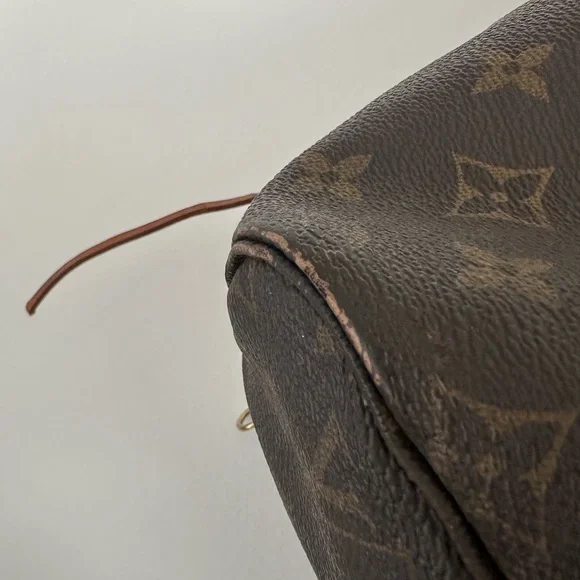 Louis Vuitton Brown Monogram Tote - Picture 7 of 16
